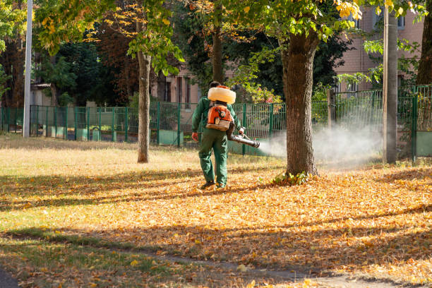 Best Affordable Pest Control Services  in Wekiwa Springs, FL