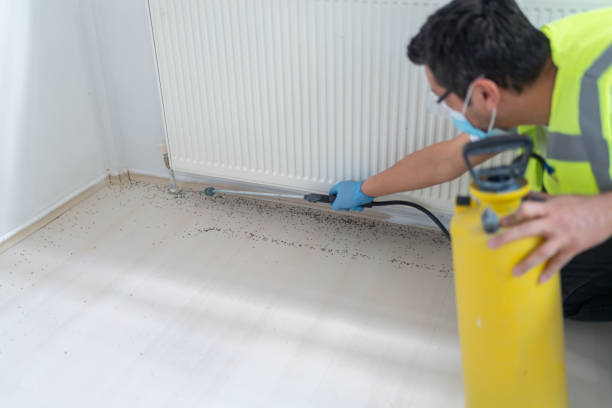 Best Pest Removal Services  in Wekiwa Springs, FL